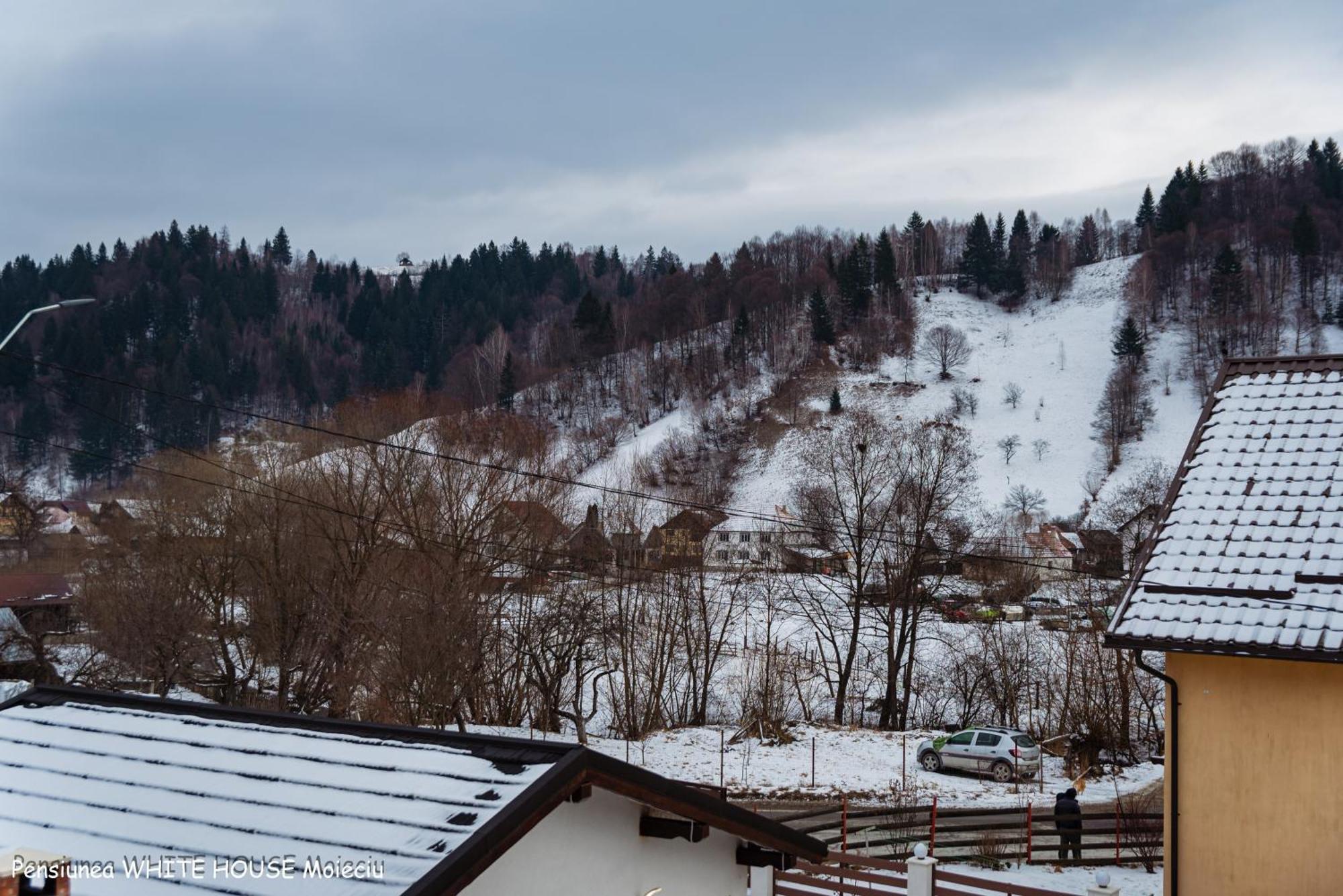 White House Moieciu Otel Moieciu de Jos Dış mekan fotoğraf